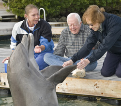 Rosalynn Carter, right, greets Nemo the dolphin Wednesday, at Hawk's Cay Resort. At left is Sylvia Rickett, manager of The Dolphin Connection at the resort. Photo by Andy Newman/Florida Keys News Bureau